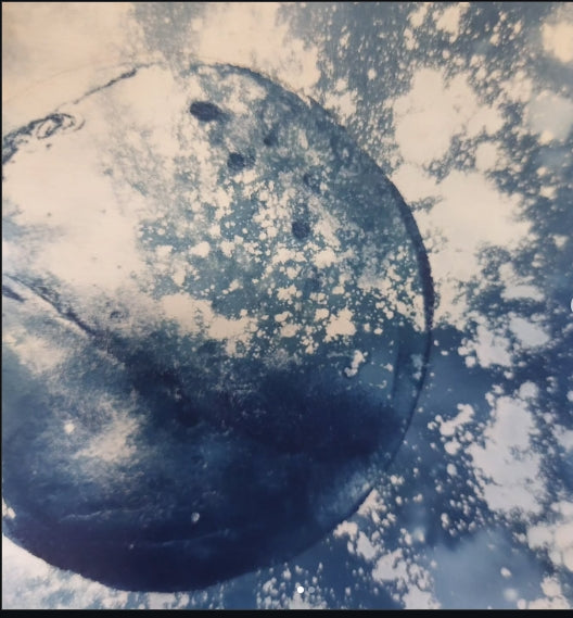 Cyano Card