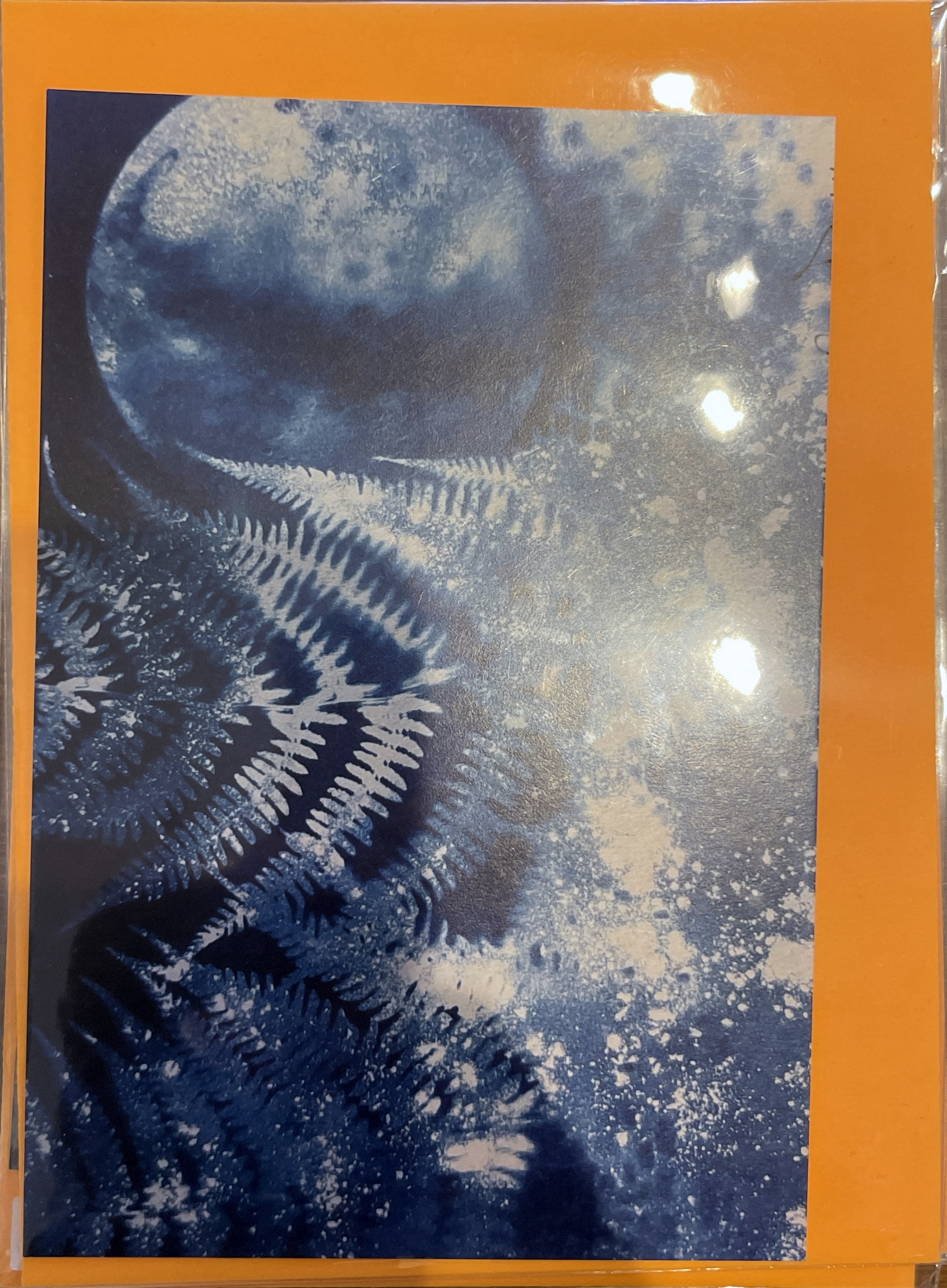 Cyano Card