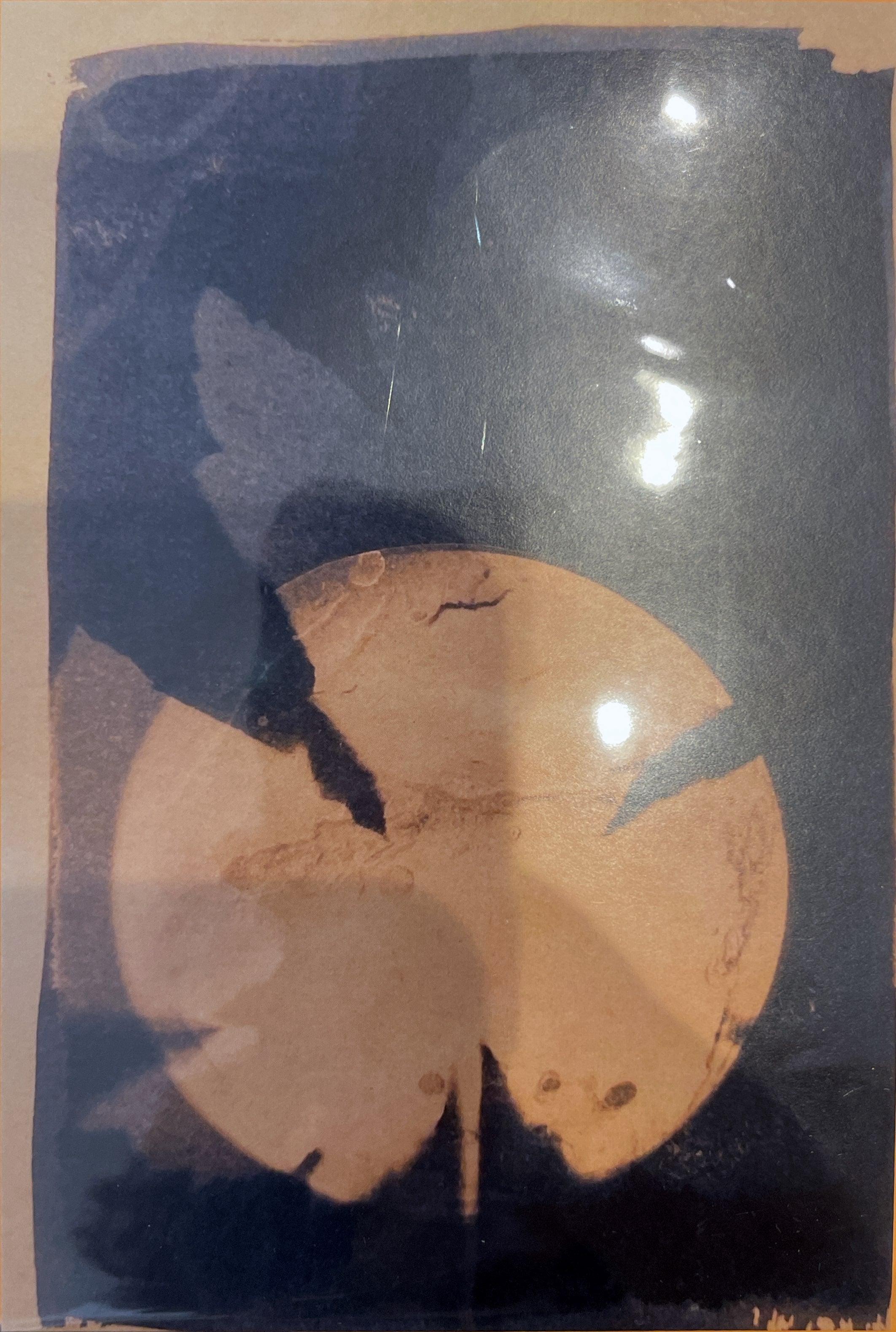 Cyano Card