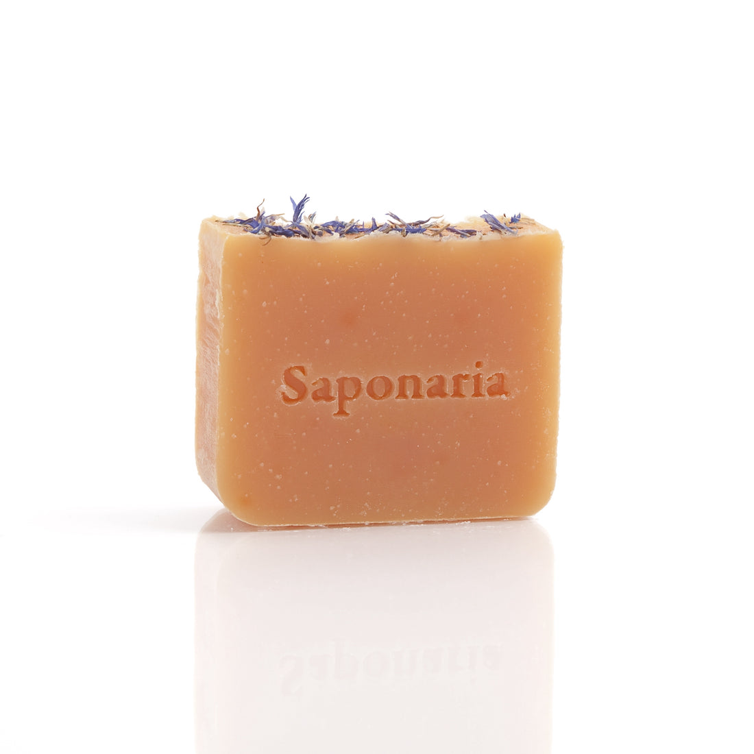 SAPONARIA - savon - Marée haute