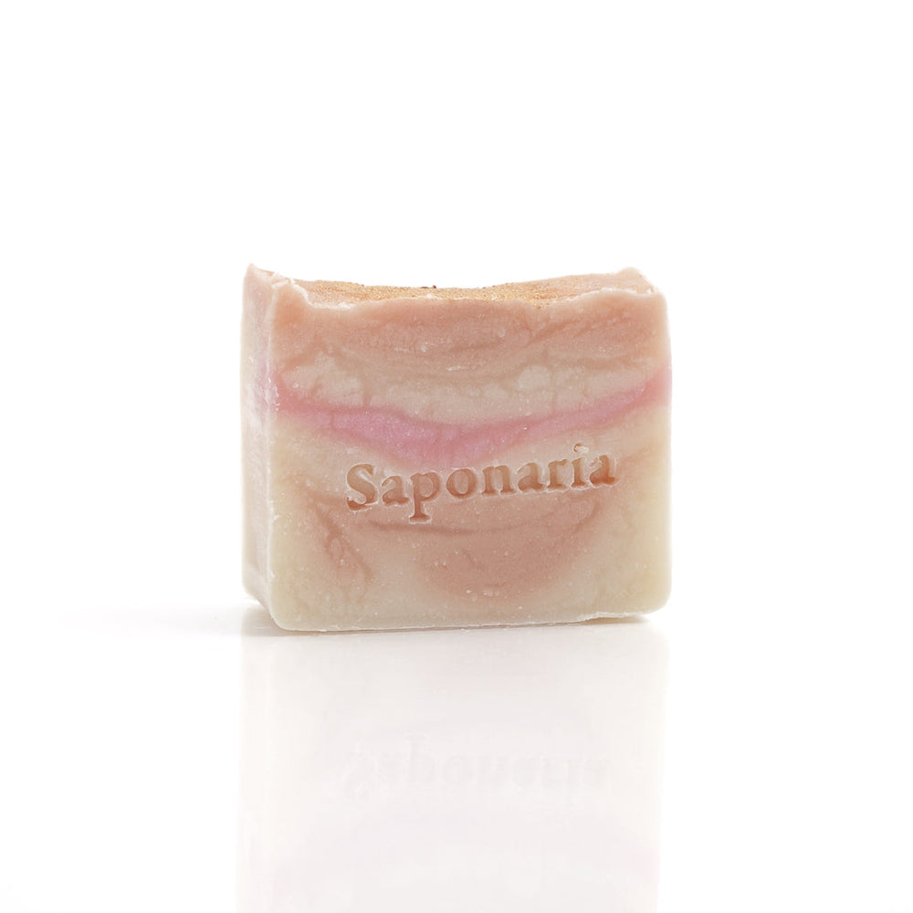 SAPONARIA - Sparkling peach