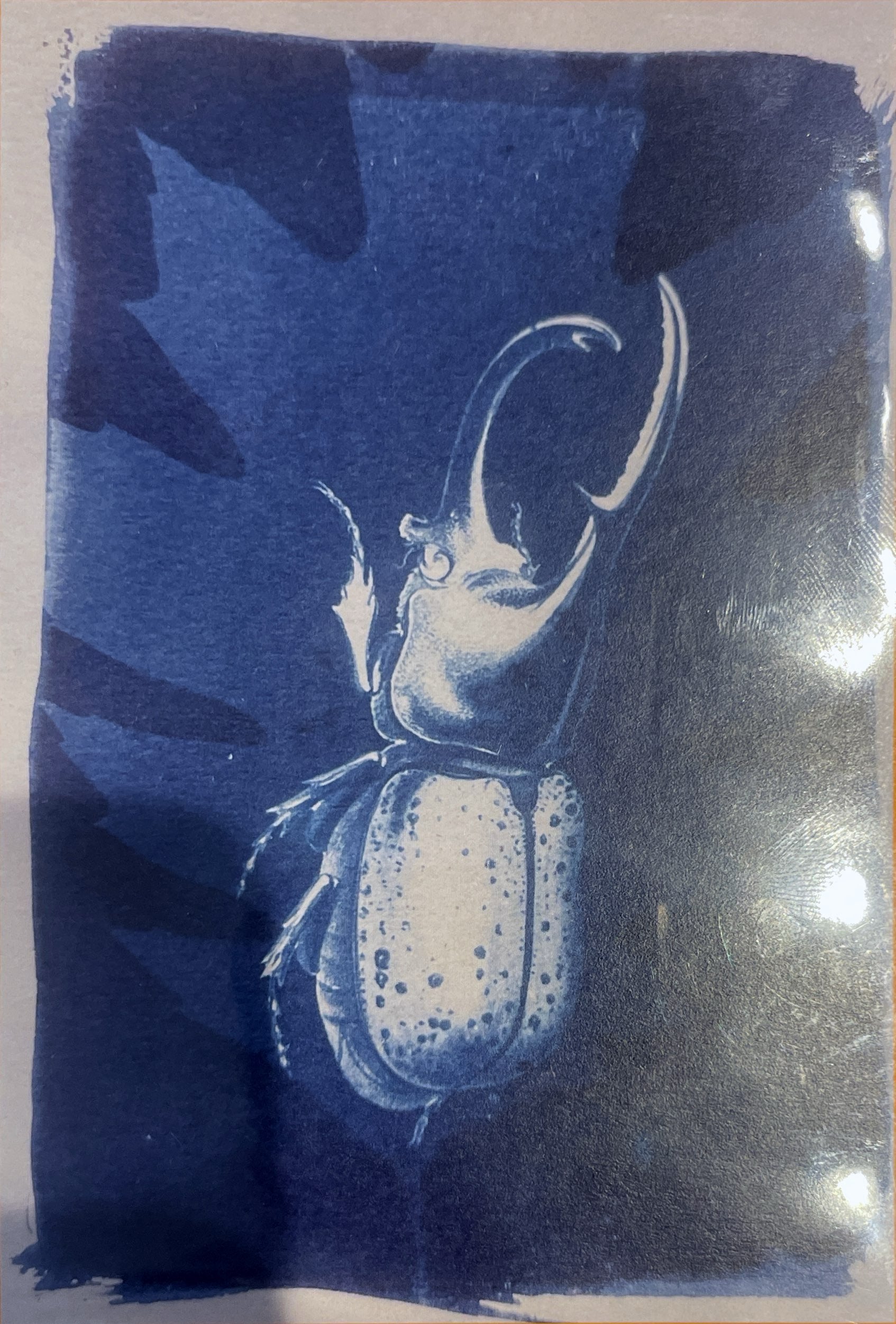 Cyano Card