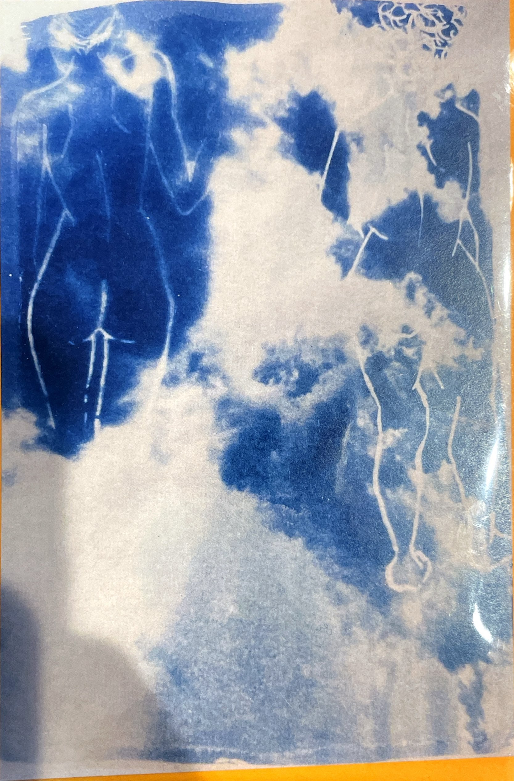 Cyano Card